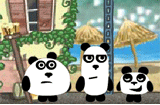 3 Pandas in Brazil